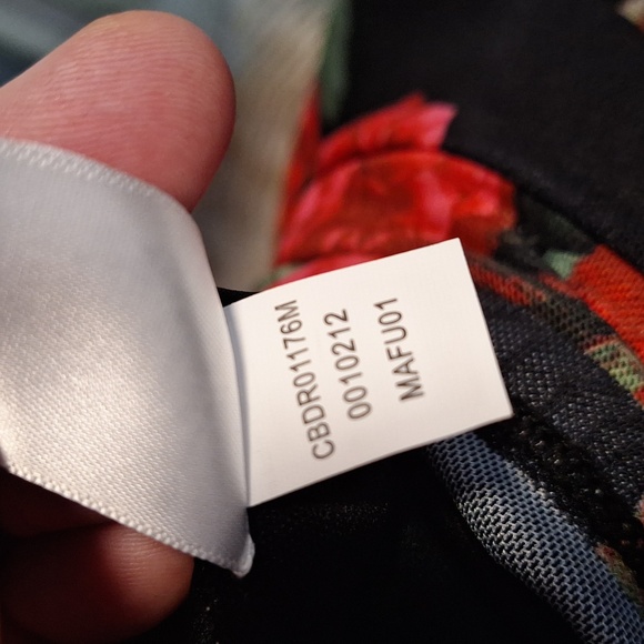 Cupio Blush Sleeveless Black with Red Roses Bodycon Dress - Picture 13 of 13